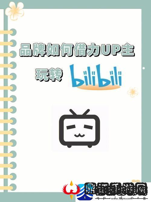“B站必火推广