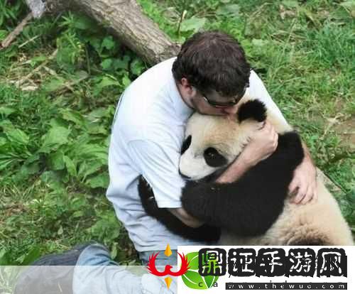 人物动物互动高清视频素材