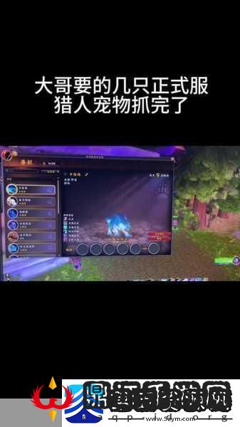 魔兽世界80级灵魂兽全坐标揭秘