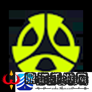 上海Major美洲RMR