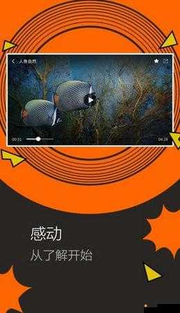 鱿鱼