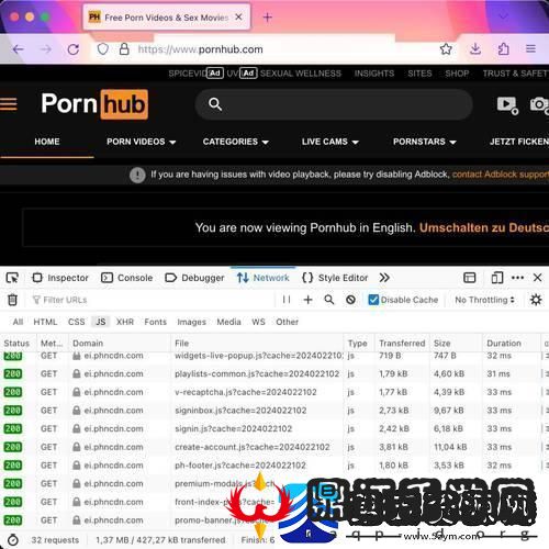 “欧Zoom狂潮”